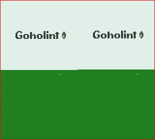 A screenshot showing the Goholint start screen rendered twice at the top left and top right while the bottom half of the picture if plain green with a few sparse pixels.